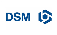 DSM