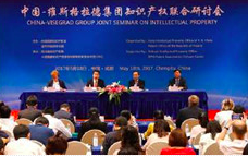 China&V4 IPRJS